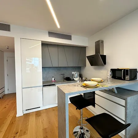 Daire Sky1 Modern Aptm With Rooftop View 30 Floor Bratislava